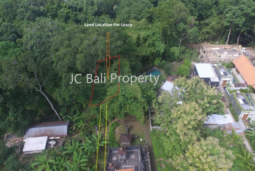 WhatsApp Image 2022-07-22 at 15.07.48