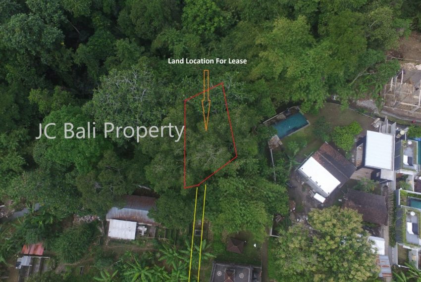 WhatsApp Image 2022-07-22 at 15.07.50