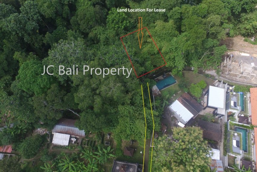 WhatsApp Image 2022-07-25 at 10.06.39