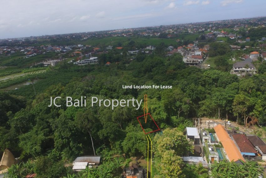 WhatsApp Image 2022-07-25 at 10.06.40