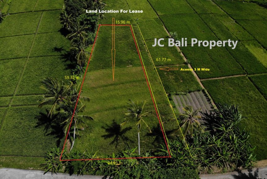 WhatsApp-Image-2023-01-16-at-17.07.03