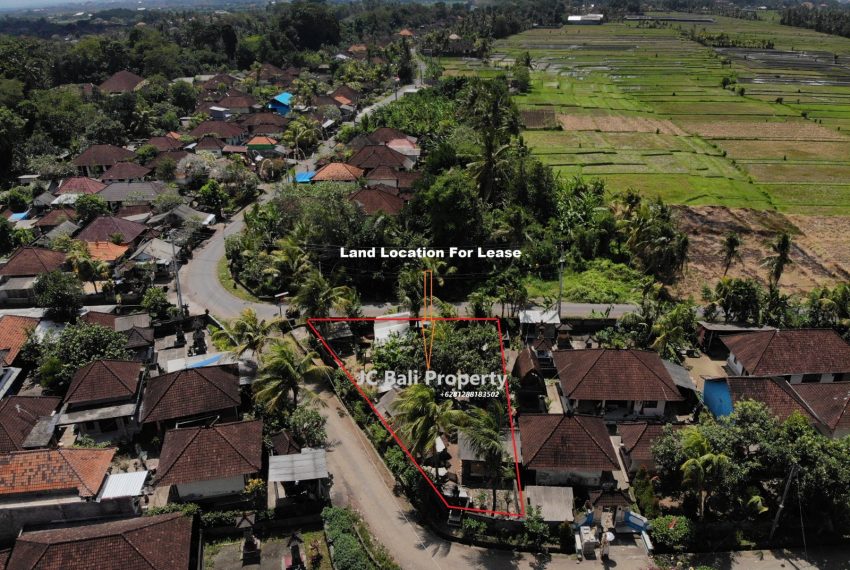 WhatsApp Image 2023-08-23 at 10.59.27 (1)