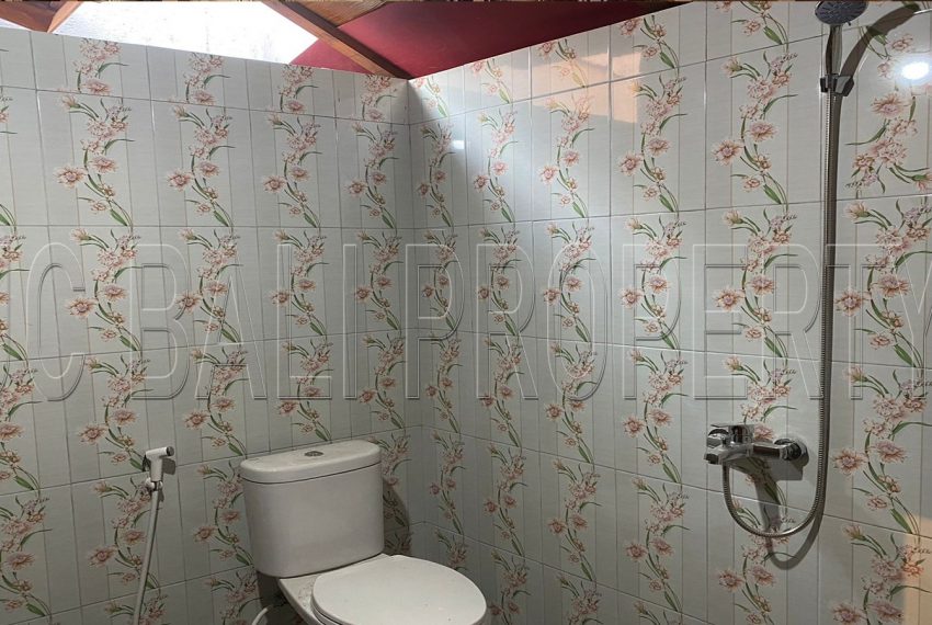 WhatsApp Image 2023-10-11 at 13.46.07