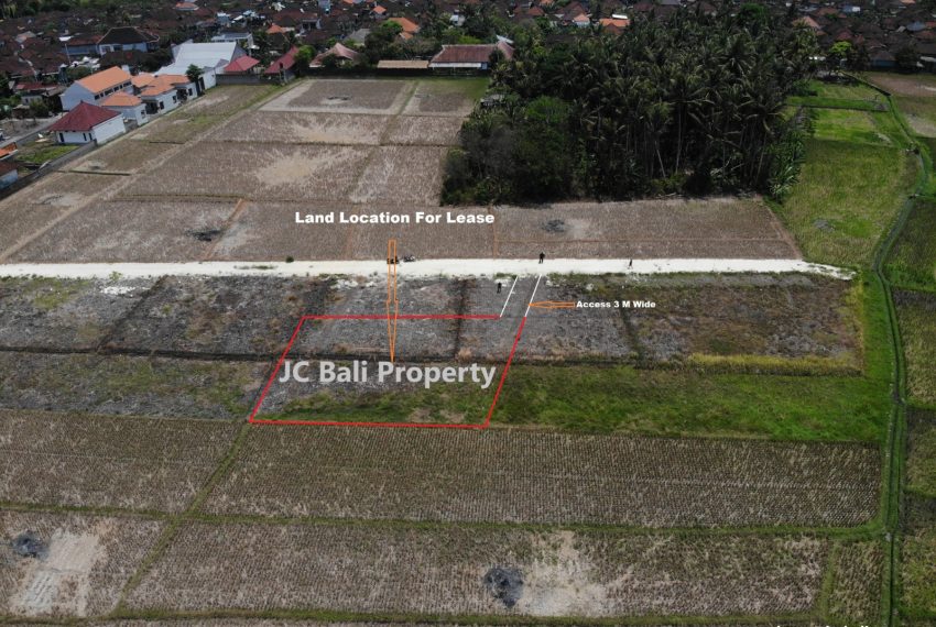 WhatsApp Image 2023-11-08 at 09.57.24