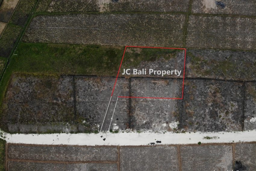 WhatsApp Image 2023-11-08 at 09.57.25 (1)