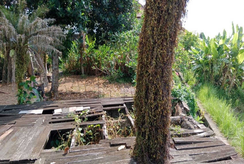 WhatsApp Image 2023-11-08 at 09.59.15