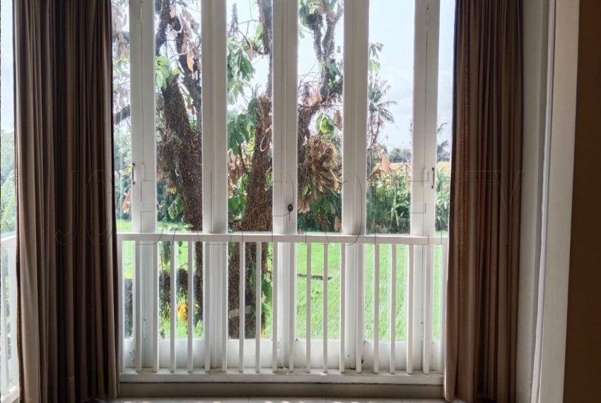 WhatsApp Image 2023-11-08 at 09.59.16