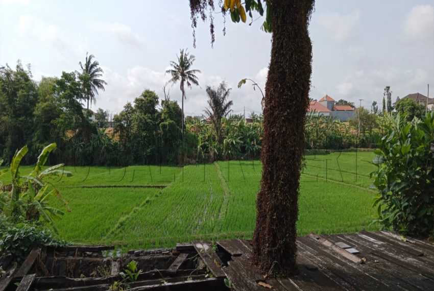 WhatsApp Image 2023-11-08 at 09.59.23 (1)