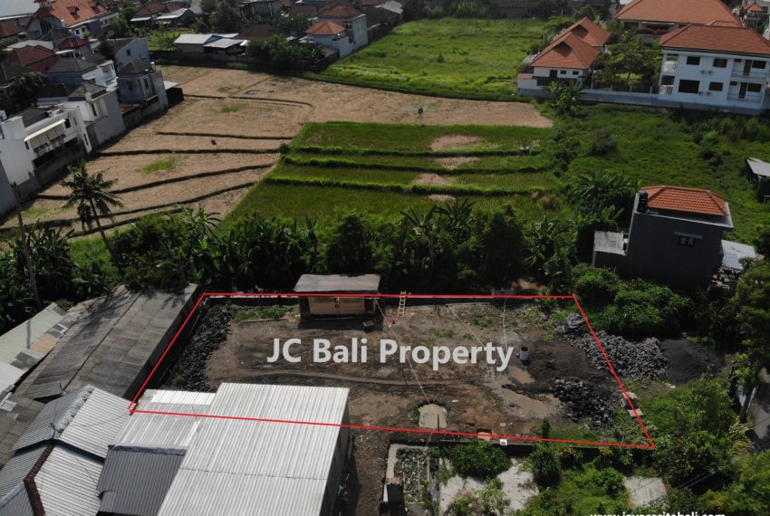 WhatsApp Image 2024-02-21 at 10.13.12